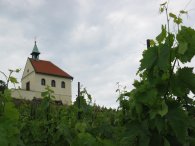 Kaple sv. Kláry s vinicí, autor: Tomáš*
